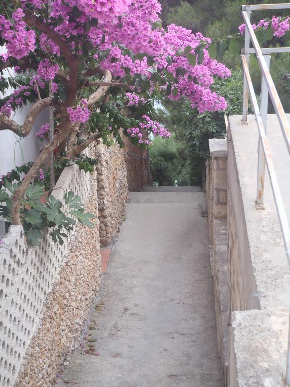 Apartments Villa Stari Koko Omis Exterior photo